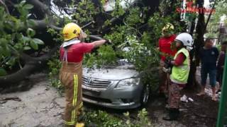 Ipoh rainstorm leaves trail of destruction [upl. by Haras]