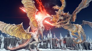 Can ANY Boss Survive Ancient Dragon Senessax  ⚔️ Elden Ring Shadow of The Erdtree DLC [upl. by Enylodnewg]