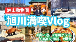 【旭川観光vlog】グルメと旭山動物園堪能！OMO7旭川星野リゾートホテルレビュー [upl. by Norvol]