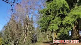 BURNABY MOUNTAIN PARK travelvlog vancouvercanada qualitytime dimplesjose [upl. by Granger]