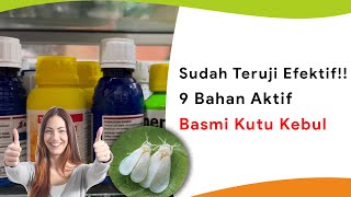 9 Bahan Aktif Insektisida Kutu Kebul Yang Teruji Efektif [upl. by Zaslow]