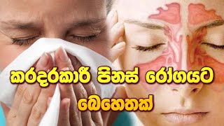 කරදරකාරී පිනස් රෝගයට බෙහෙතක් catarrh disease ayurveda sinhalaayurveda arthritiscure [upl. by Pinkerton]