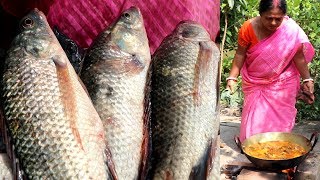 Tilapia Macher Jhol Recipe  Tilapia Fish Village Style Cooking 🐠 🐠 [upl. by Demahum176]