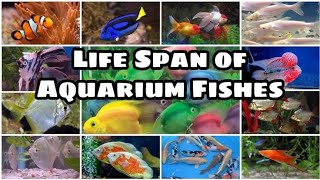 All aquarium fish lifespan  Aquarium fishes life cycle [upl. by Ocnarf]