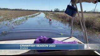 What to expect for the 2023 Crawfish season [upl. by Ennovart319]