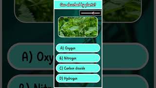 Science Quiz science sciencefacts quiz facts usa america youtubeshorts viralshorts plant [upl. by Kathe]