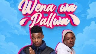 Wena Wa Pallwa Official Audio Ft Chcco Leemckrazy [upl. by Enwahs902]