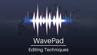 Best Editing Techniques  WavePad Audio Editor Tutorial [upl. by Nnylaf110]