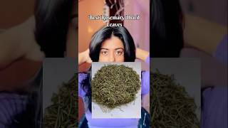 Top 5 Best Rosemary Dried Leaves under 250rs  Rosemary for Extreme Hair Growth rosemary [upl. by Talich]