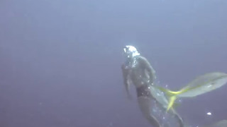 20170513  Freediver  Curaçao 2006 [upl. by Ycaj]