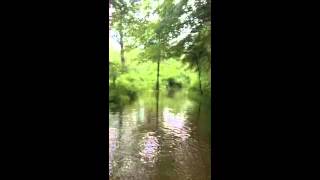 Playing in the flooded park [upl. by Forster]