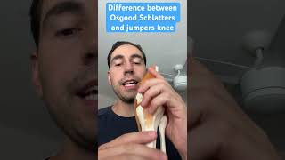 Difference between Osgood Schlatters and jumpers knee treatment shorts [upl. by Thinia]