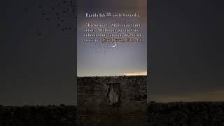 🍃Hz Muhammed sas Efendimiz Neyi Yapmayın Diyor Bilirmisiniz📌 [upl. by Ahsekal]