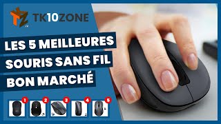 Les 5 meilleures souris sans fil bon marché pour PC [upl. by Yadsendew]