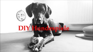 DIY  5 Leckerlie Spiele für Hunde ganz einfach selber machen [upl. by Nosyarg391]