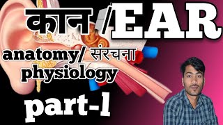 EAR ANATOMY PART1 👂 introduction of ear MAGICPOINTBARMER ENT SYSTEM 👂HUMAN EAR ANATOMY AND TYPE [upl. by Daas875]