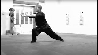 Choy li fut Kung Fu Siu Sup Ji Small Cross Pattern Form [upl. by Botzow]