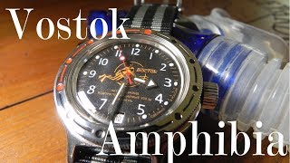 Vostok Amphibia Review Divergent Evolution 420380 Orange Scuba Dude [upl. by Siari]