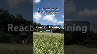 Reaction training movementtraining braintraining [upl. by Ppilihp]