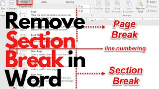 How to Remove Page and Section Breaks in Word 2024 [upl. by Clarkin]