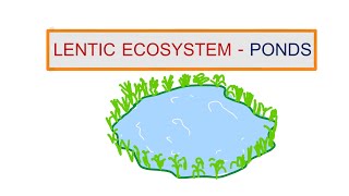 4 LENTIC ECOSYSTEM  PONDS  SEM 5  AQUATIC BIOLOGY PAPER 1 [upl. by Agrippina914]