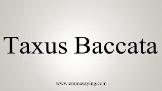 How To Say Taxus Baccata [upl. by Atrebla]