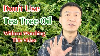 Tea Tree Oil Benefits Uses and Safety How to Use Tea Tree Essential Oil Caution Using TTO [upl. by Oedama531]