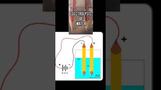 Electrolysis of Water Science 🧪 shortsfeed shorts youtubeshorts [upl. by Alliuqa]