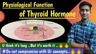 Thyroid Hormone Function Endocrine Physiology  in hindi Ashish Agrawal [upl. by Anyela449]