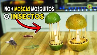 ¡Adiós Insectos Crea tu Repelente Poderoso de Naranja Limón y Clavos [upl. by Irena]