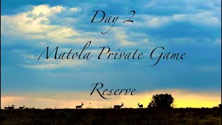 Matola Private Game Reserve  Day 2 [upl. by Alegre]