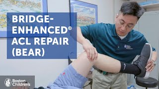 BridgeEnhanced ACL Repair BEAR  Boston Childrens Hospital [upl. by Lennon]