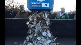 quotIt starts with Oystersquot The recycling program for Charlestons favorite bivalve mollusk [upl. by Newmark]