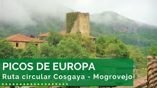 🌄⛰️🌲 PICOS DE EUROPA  Ruta circular Cosgaya  Mogrovejo [upl. by Gromme]