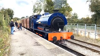 Avon Valley Railway  Wimblebury  290924 [upl. by Corron]