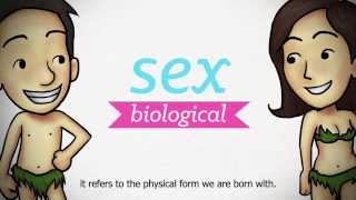 Sexuality Explained EP 1  Understanding Sexuality [upl. by Leval]