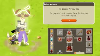 DOFUS RETRO TEMPORIS III 13  UP 200 amp RAMBOTON [upl. by Zeuqcaj370]