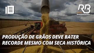 CONAB prevê uma produção recorde de grãos na próxima safra  Pulo do Gato [upl. by Natica]