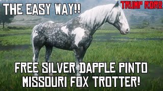 Free Silver Dapple Pinto Missouri Fox Trotter the EASY WAY [upl. by Annahc]