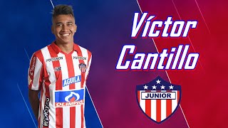 Víctor Cantillo  Goals and Skills  Junior Barranquilla 20182019 [upl. by Savart146]