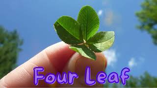 Four Leaf Riddim  Frederic AP6TM [upl. by Dion]