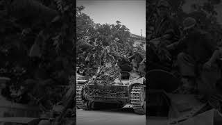 Camouflaged Nashorn tank Tank Hunter ytshort ww2 tank [upl. by Ailyn]