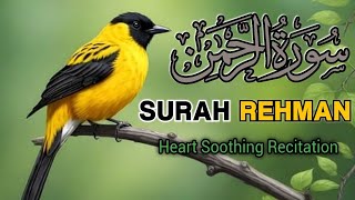 Surah ArRehman Full  Ep  00307  Qari Rizwan  سورہ رحمٰن55  Relaxing Recitation [upl. by Jamil741]