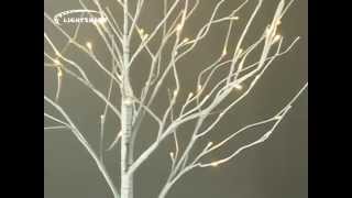 Lightshare 6FT 72L LED Birch Tree [upl. by Wendi]