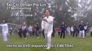 Princípios do Tai Chi Chuan Pai Lin de 37 movimentos [upl. by Asil]