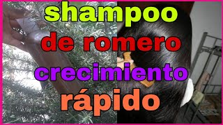 CÓMO HACER SHAMPOO DE ROMERO Y SÁBILA PARA EL CRECIMIENTO RÁPIDO DEL CABELLO [upl. by Hippel21]