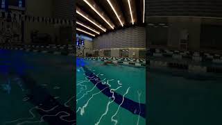 Smooth relaxed and easy freestyle swimming swimming [upl. by Petula]