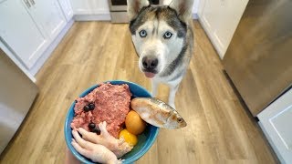 What Feeding Raw Breakfast Every Morning Looks Like With My Husky [upl. by Anomahs]