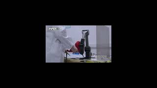 6DoF robotic arm safety certificate automobile technologyresearch robot roboticarm [upl. by Elianore]