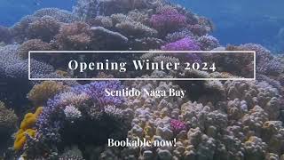 Sentido Naga Bay Resort Soft Opening 01122024  Soma Bay [upl. by Kate]